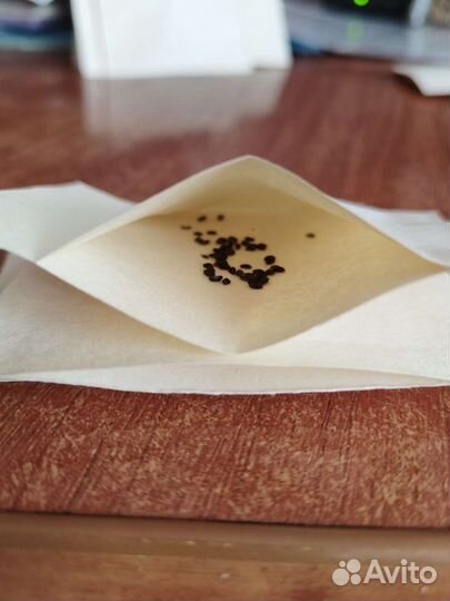 Платикодон, долихос