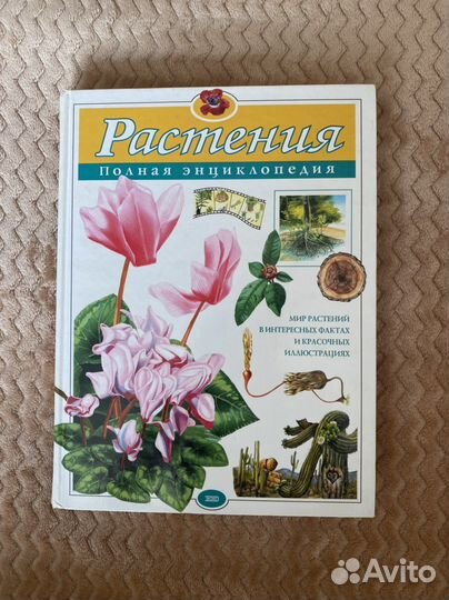 Энциклопедия 