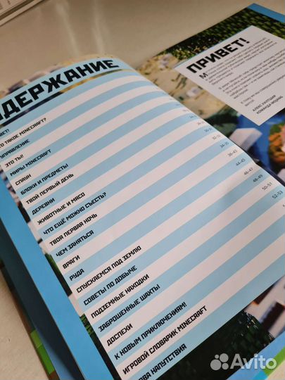 Книга Майнкрафт для новичков