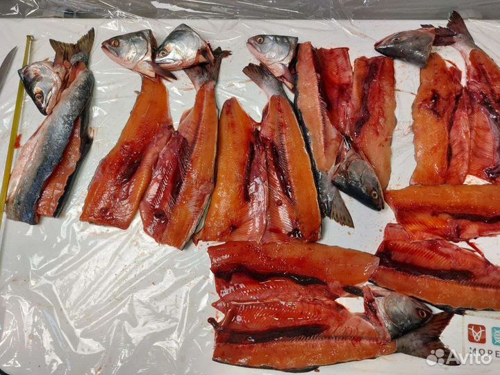 Горбуша вылов 2023, Камчатка, с доставкой на дом