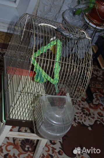 Клетка для птиц
