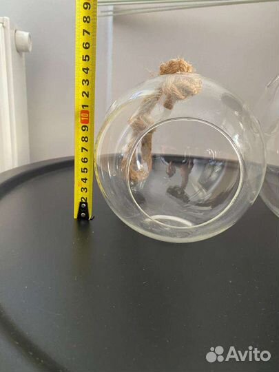 Флорариум, ваза, шар