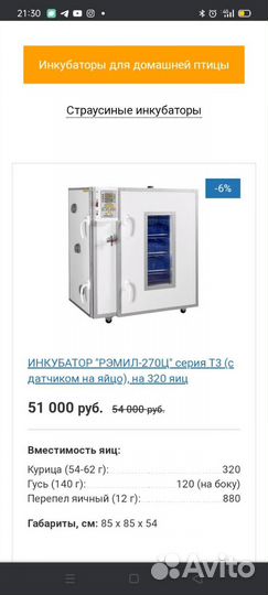 Инкубатор Рэмил