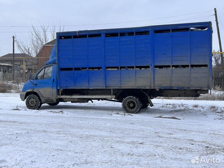 Перевозка скота овец баранов 6.5 метров скотовоз