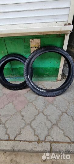 Покрышки на фэтбайк