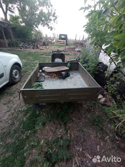 Продам муровей