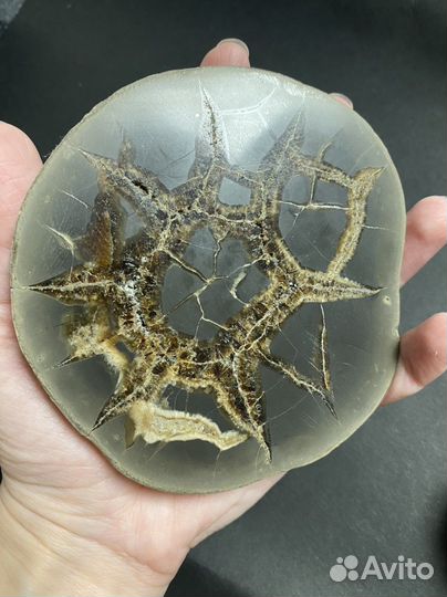 Септария коллекционый образец камни и минералы