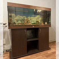 Продам аквариум бу