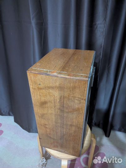 2шт Акустическая система 51 ао ас-121