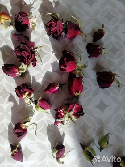 Бутончики и лепестки роз