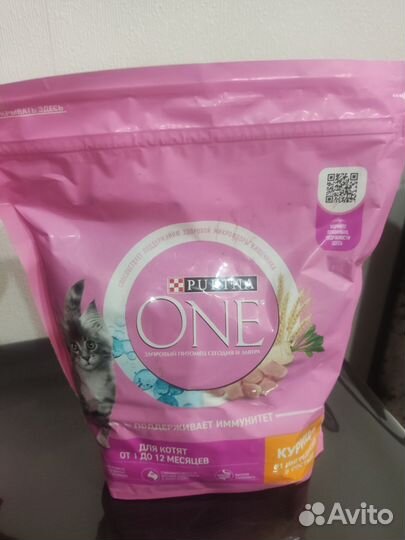 Корм для котят