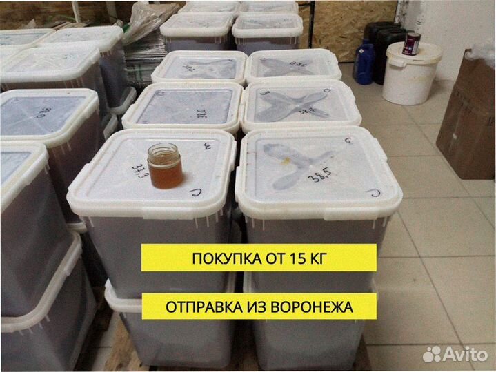 Мед оптом урожай 2023