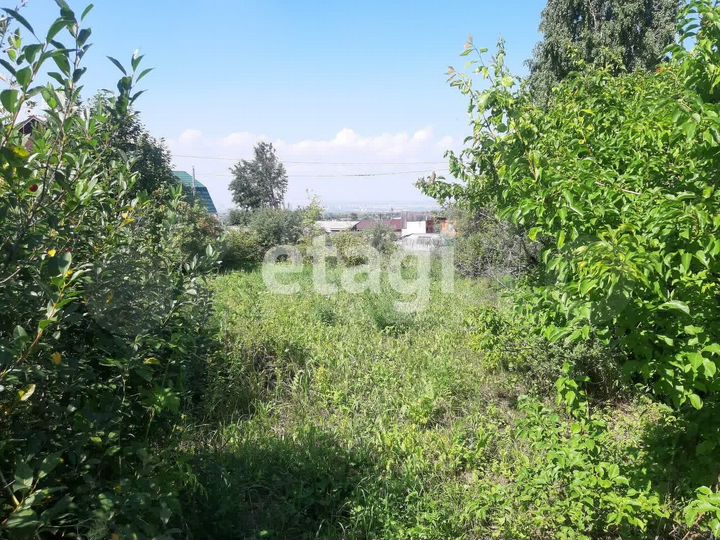 Участок 6 сот. (СНТ, ДНП)