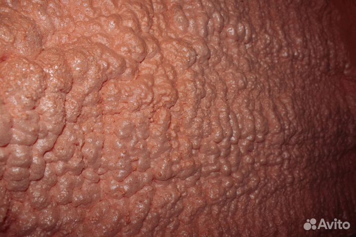 Напыляемый утеплитель. Polynor