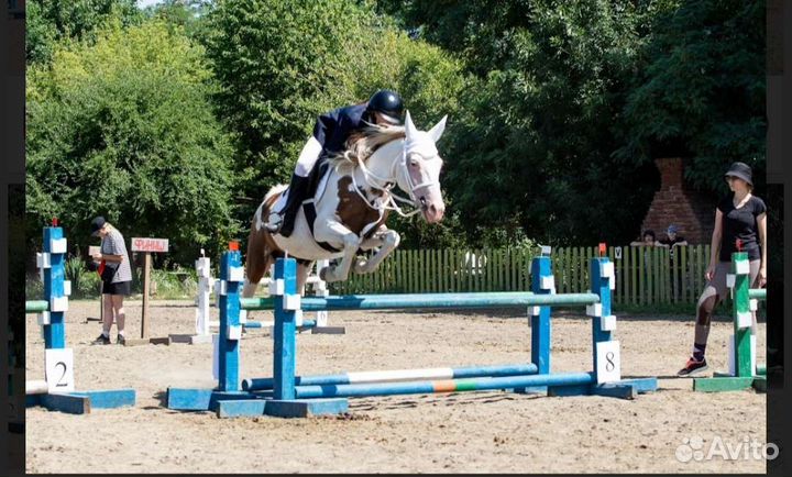 Прогулки, обучение верховой езде, иппотерапия