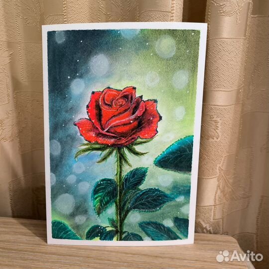 Картина пастелью Роза под дождем