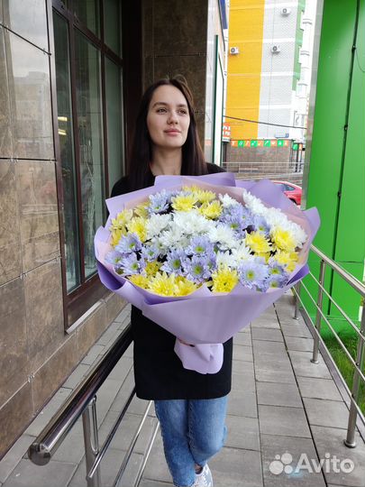 Хризантема кустовая цветы живые