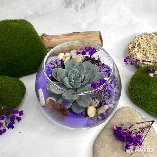 Флорариумы оптом, корпоративный подарок