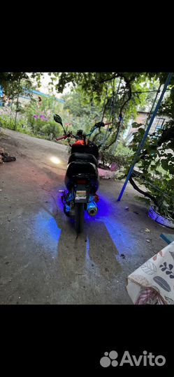 Скутер (shark) 139 qmb