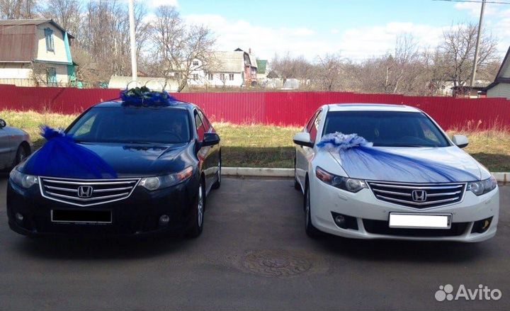 Кольца свадебные и ленты на автомобиль