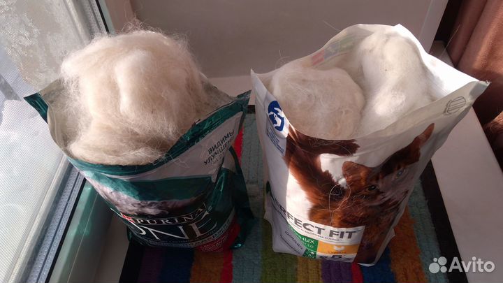 Собачья шерсть пух