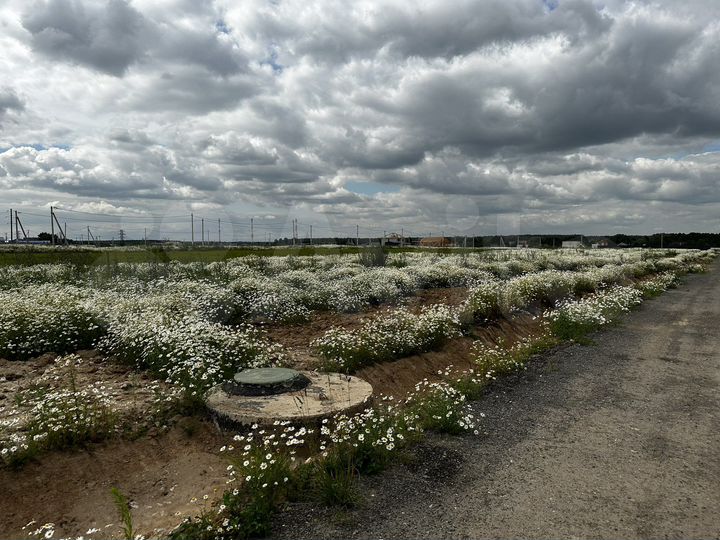 Участок 6 сот. (ИЖС)