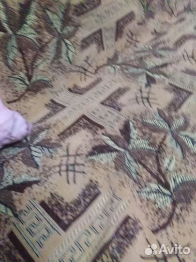 Котята сфинкс