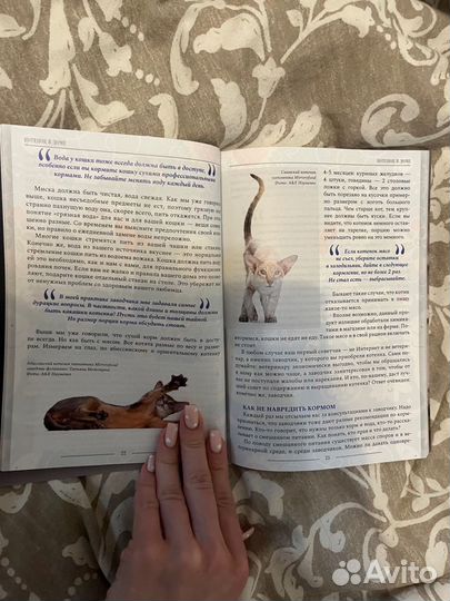 Книга о кошках и котятах