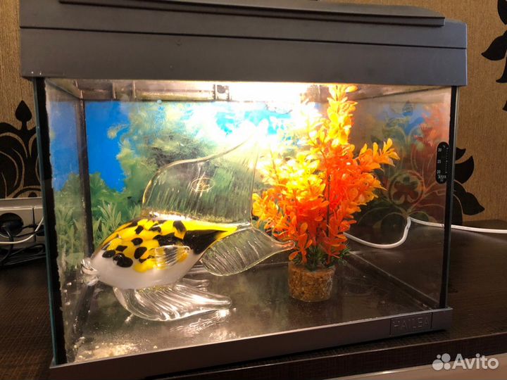 Аквариум 20л