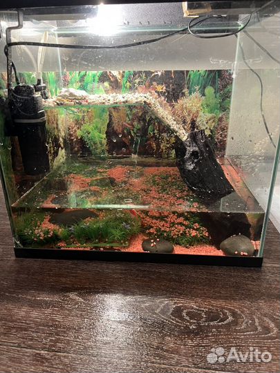 Аквариум
