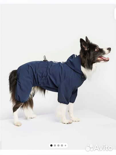 Дождевик для собак