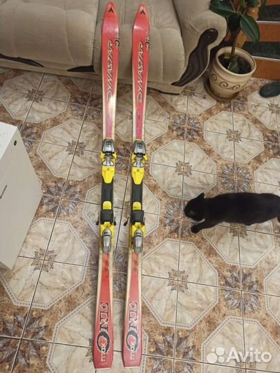 Горные лыжи dynastar 180