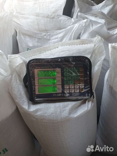 Пшеница озимая