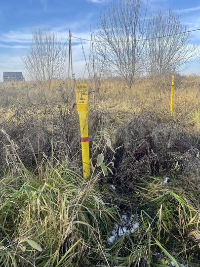 Участок 12 сот. (ИЖС)