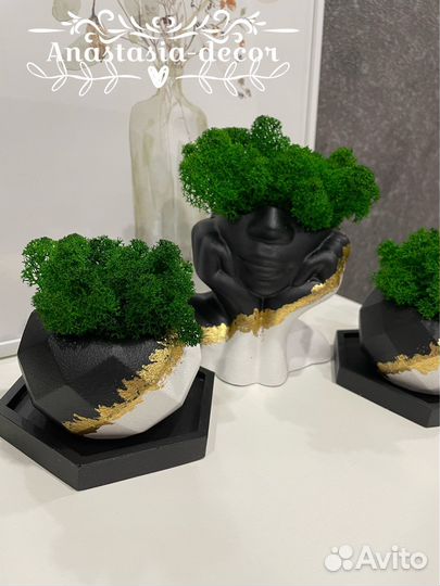 Изделия из гипса со мхом