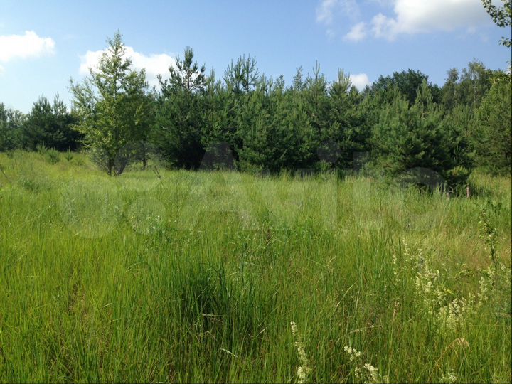 Участок 8 сот. (СНТ, ДНП)