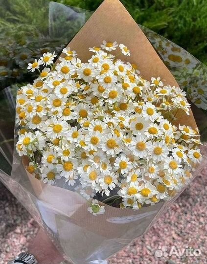 Ромашки букет