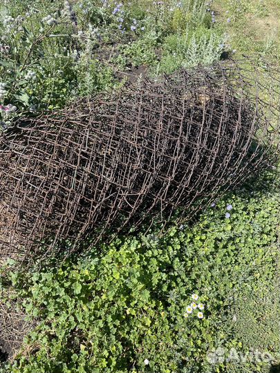 Сетка рабица бу