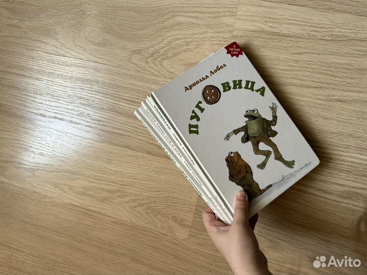 Квак и Жаб Круглый год, Снова вместе, Пуговица