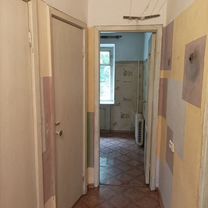 3-к. квартира, 60 м², 1/5 эт.