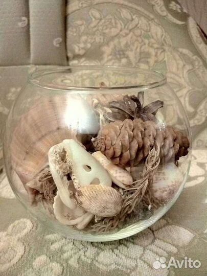 Композиция из ракушек в стекле