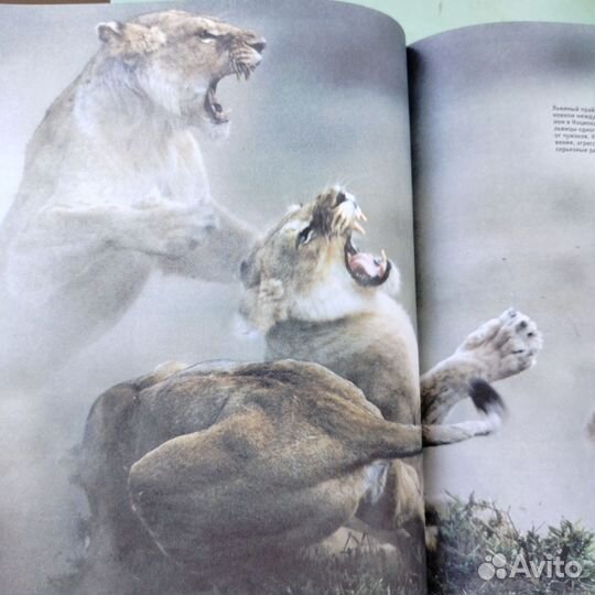 Книга Энциклопедия живой природы