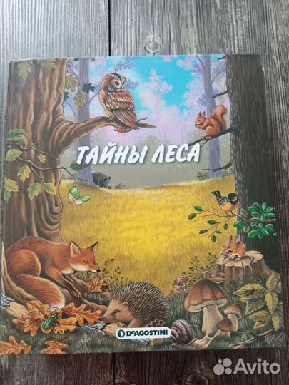 Книга энциклопедия Тайны леса