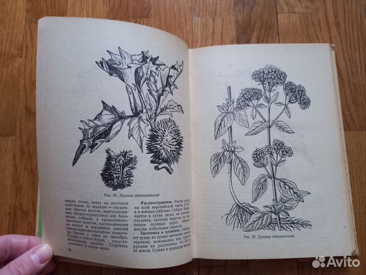 Б.М. Коршунов 