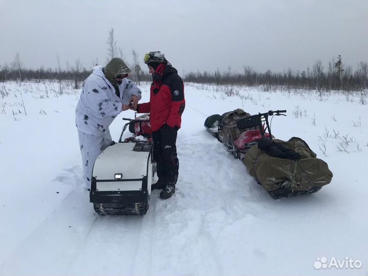 Snowdog standart 500