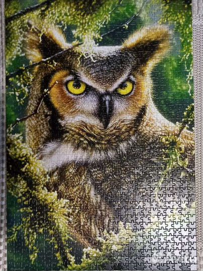 Пазлы trefl 1500, castorland 1000