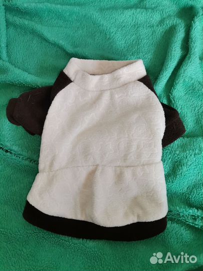 Одежда для собак мелких пород