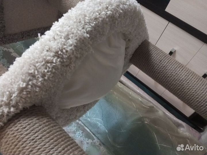 Кошачий комплекс, когтеточка