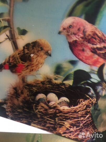 Советские открытки и календарики