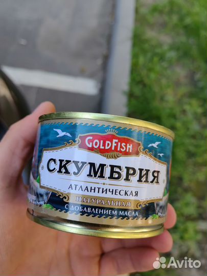 Консервы свежие